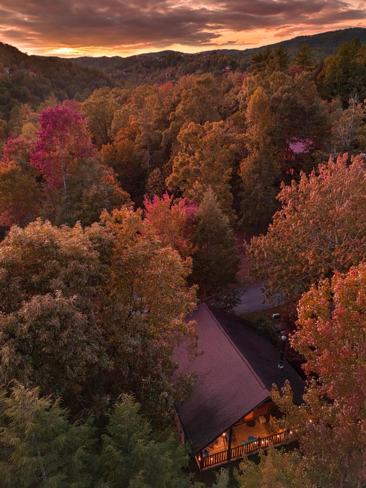 Love Me Tender Studio Cabin Sevierville Buitenkant foto